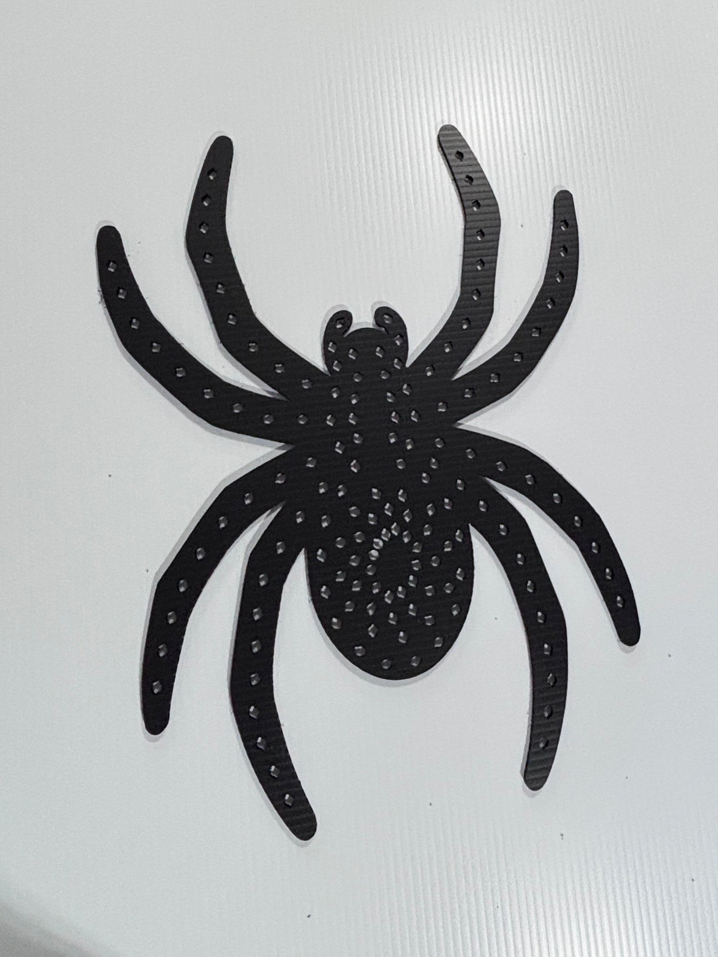 Spider Spiral