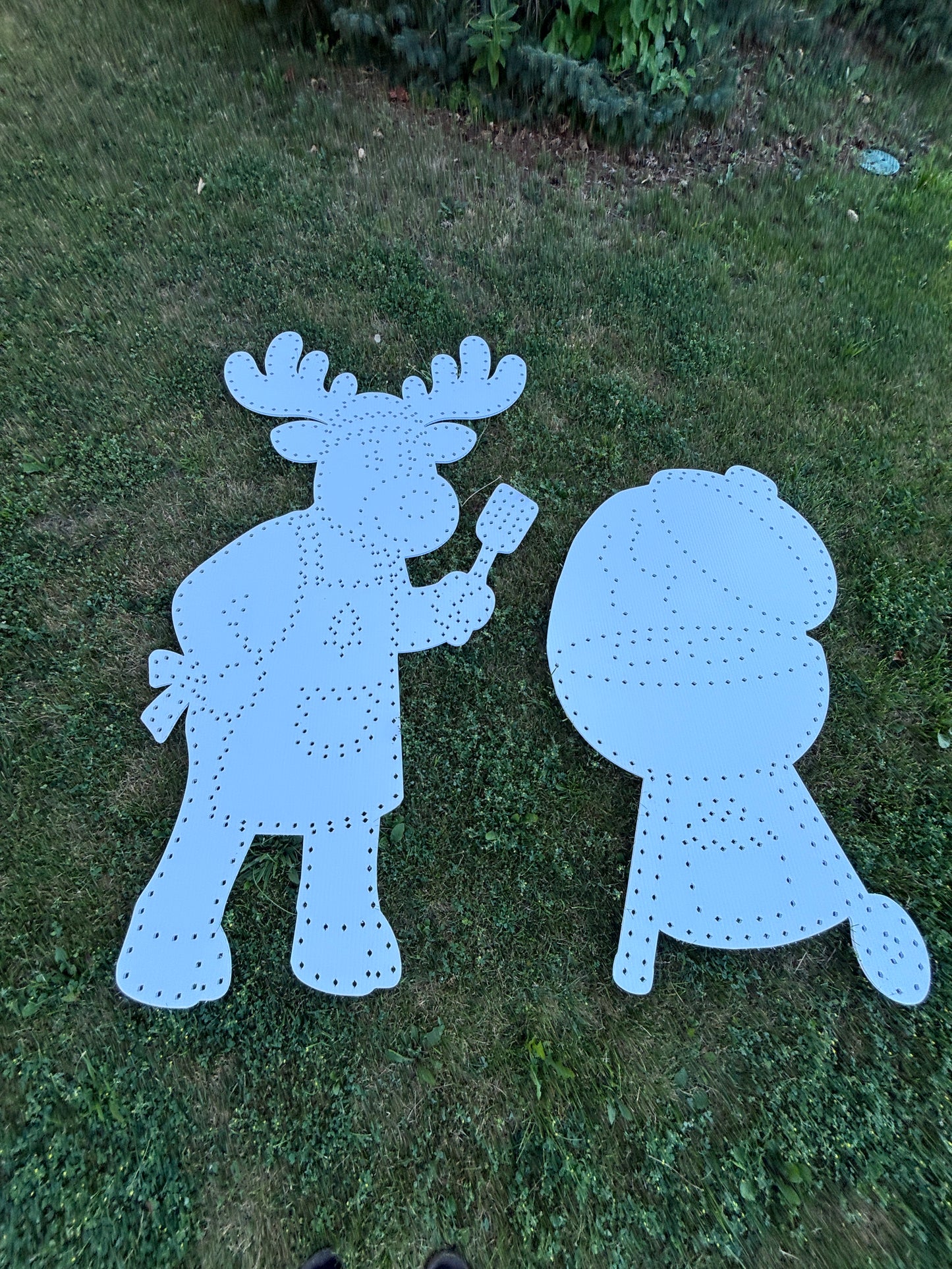 Deer and BBQ