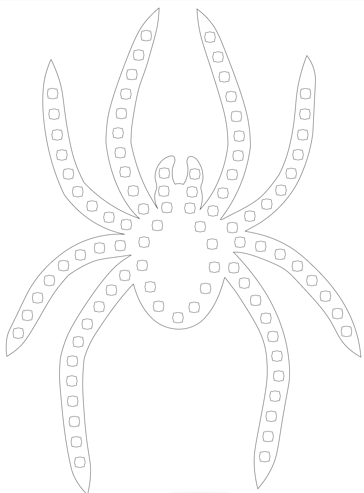 Spider