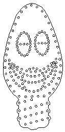 Singing Bulb