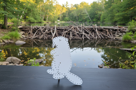 Beaver Standing