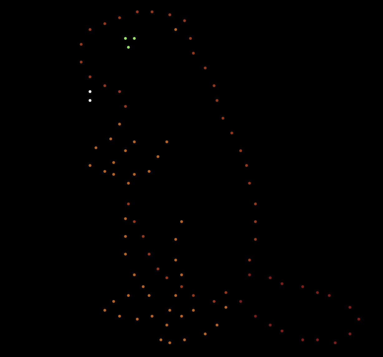 Beaver Standing