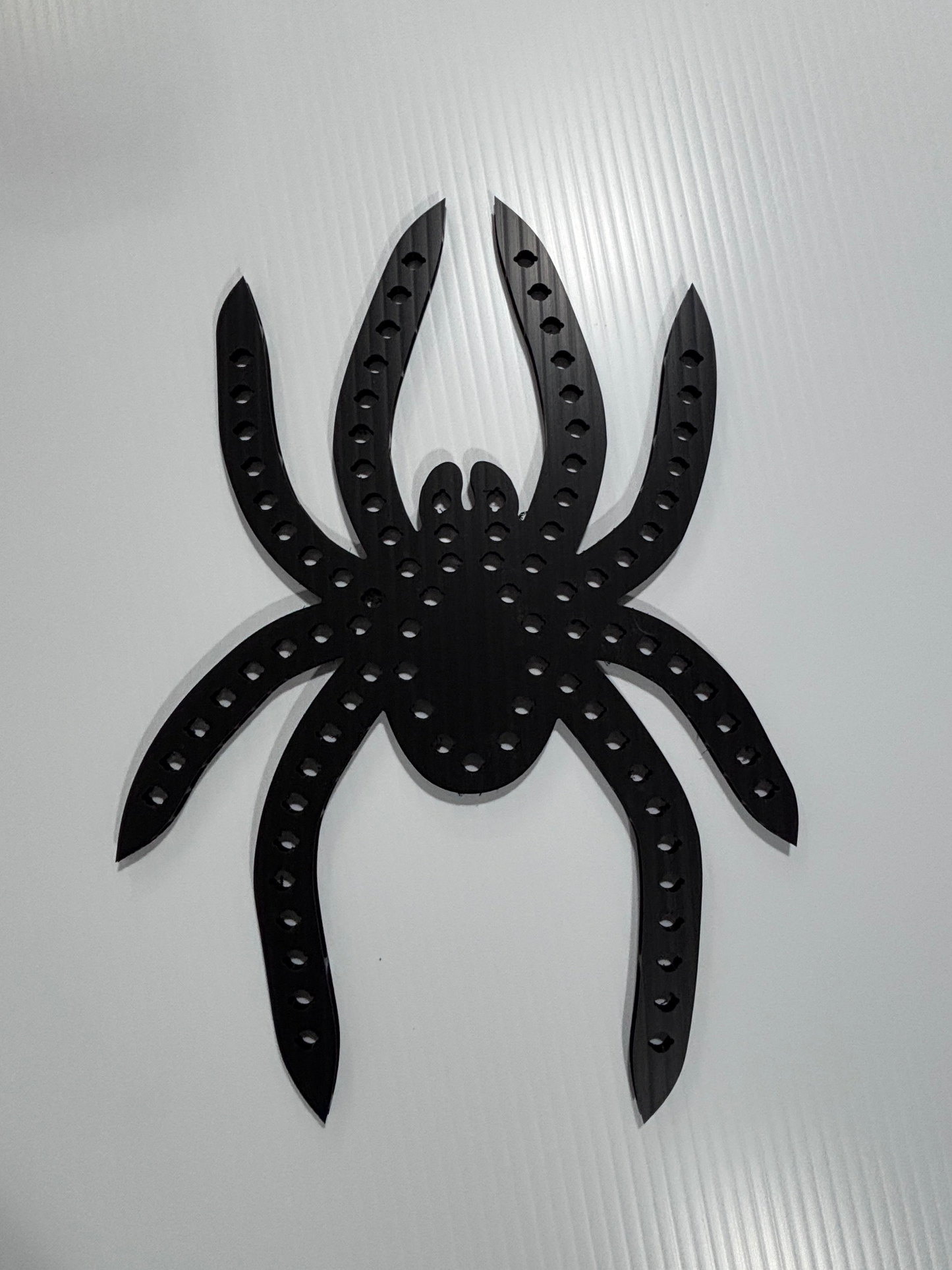 Spider