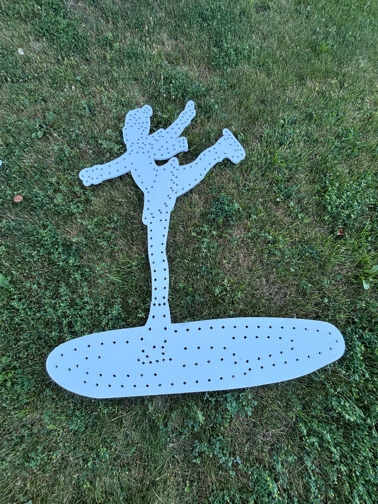 Female Skater