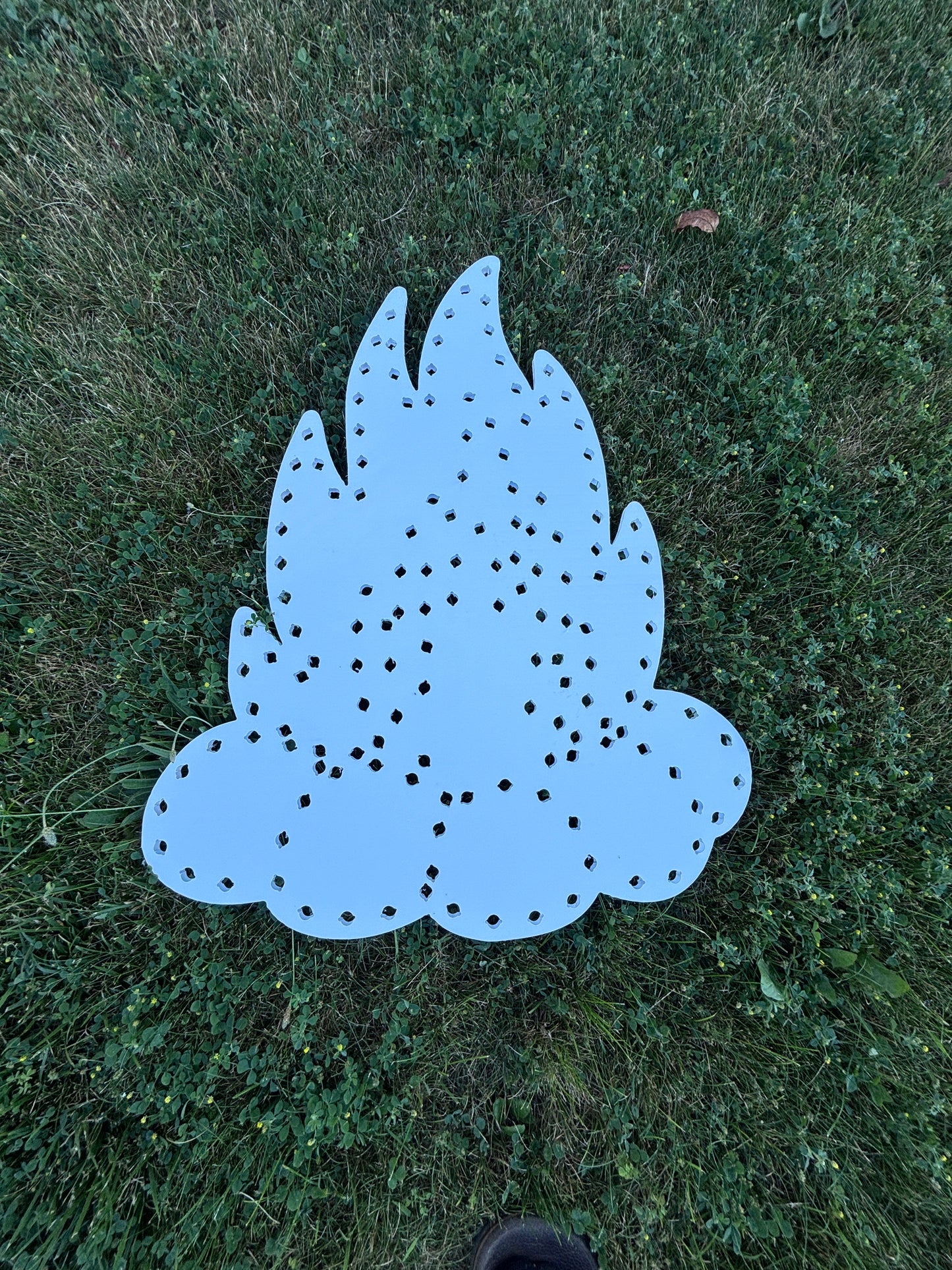 Camp Fire